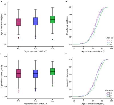 Fine-Mapping of the PLCL2 Gene Identifies Candidate Variants Associated With Ischaemic Stroke Risk in Metabolic Syndrome Patients